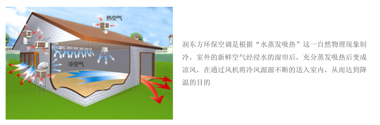 润东方RDF-23C(图2)