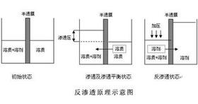 大型反渗透纯水机_电泳设备(图2)